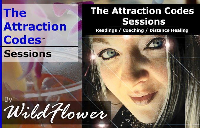 The Attraction Codes Sessions — WildFlower Institute